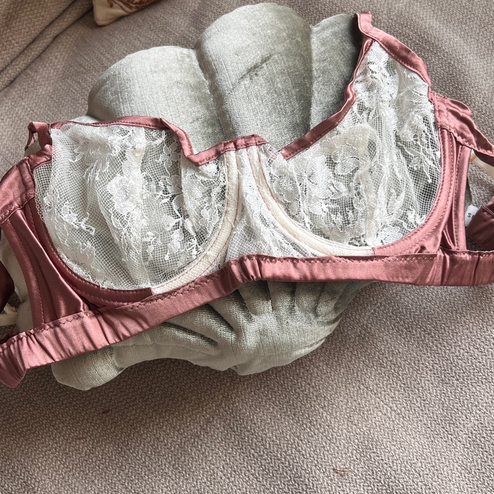 Sheer Lace Underwire Bra in Dusty Rose and White